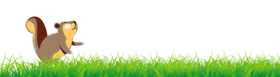 grass